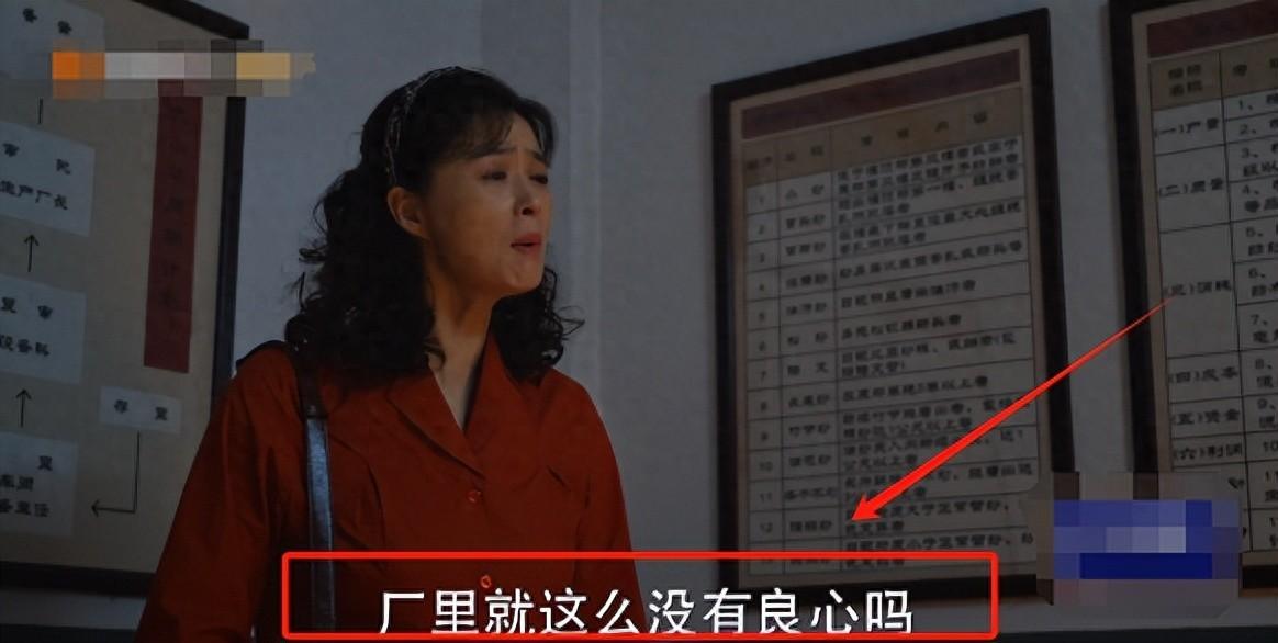 《小巷人家》：看到蒋欣为保住工作红脸时，才知何为真正的女工人